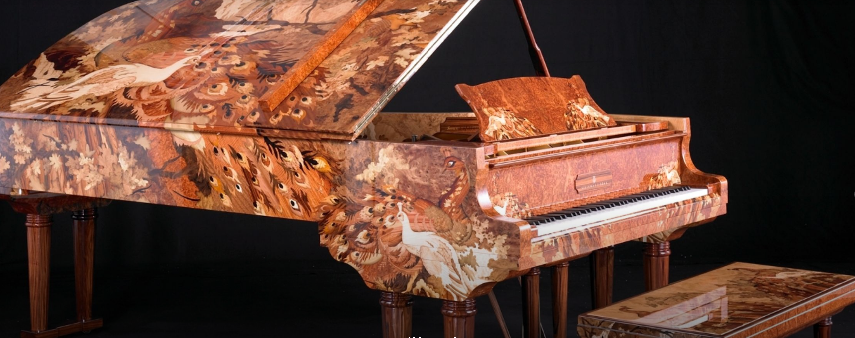 5ecca2f146707.png image.png