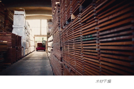 5ed0bf35a575a.png image.png